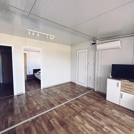 Purple & Violet ツァレヴォ