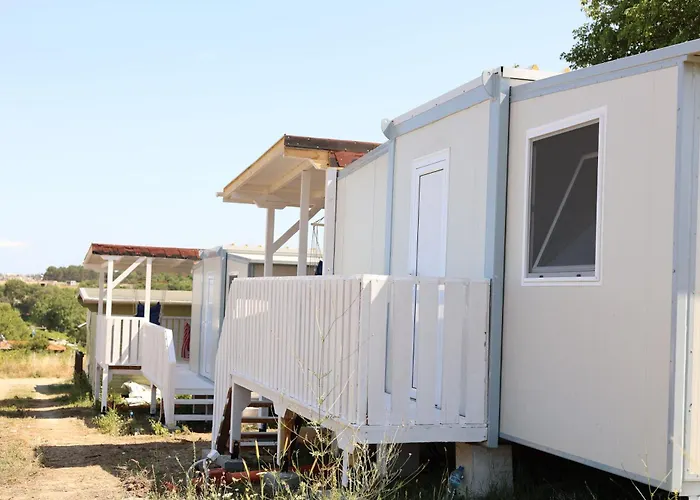 Purple & Violet Царево